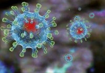 В Индии обнаружен новый штамм коронавируса с двойной мутацией - facenews.ua - Украина - Бразилия