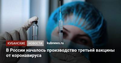 Валерий Фальков - В России началось производство третьей вакцины от коронавируса - kubnews.ru - Россия