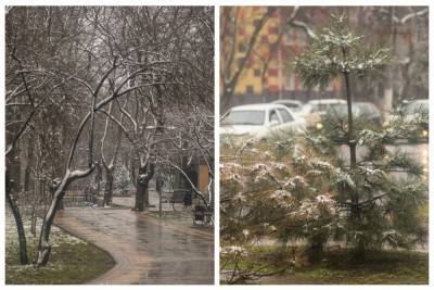 Март разбушевался: в сети показали кадры неожиданного снежного "сюрприза" в Одессе - odessa.politeka.net - Одесса