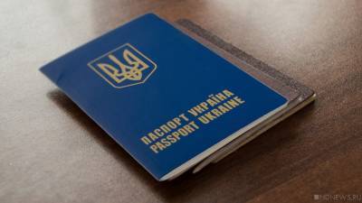 Владимир Зеленский - Спрос на украинское гражданство в мире упал в четыре раза - newdaynews.ru