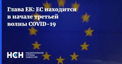 Глава ЕК: ЕС находится в начале третьей волны COVID-19 - nsn.fm - Евросоюз - деревня Ляйен