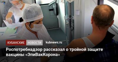 Роспотребнадзор рассказал о тройной защите вакцины «ЭпиВакКорона» - kubnews.ru