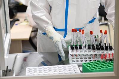 В России выявили 9167 новых случаев коронавируса - lenta.ru - Россия