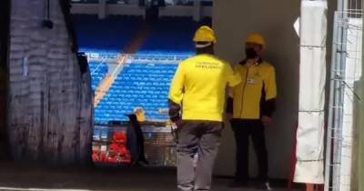 На знаменитом стадионе "Реала" заметили прогулку пингвинов: видео завирусилось в Сети - tsn.ua - Мадрид - Сантьяго - Santiago