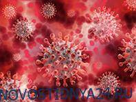 Диагностировать коронавирус возможно по состоянию кожи, утверждают ученые - novostidnya24.ru - Москва - Сколково