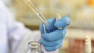 Вирусолог Рэдфилд выдвинул свою версию возникновения COVID-19 - inforeactor.ru