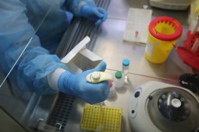 Экс-глава CDC уверен в лабораторном появлении коронавируса в Китае - volg.mk.ru - Россия - Китай - Волгоград