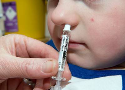 Гинцбург Гамалея - Глава центра Гамалеи Гинцбург допустил вакцинацию от коронавируса детей с 3–4 лет - province.ru