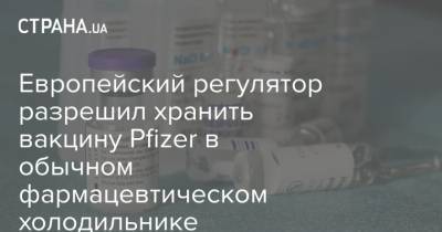 Европейский регулятор разрешил хранить вакцину Pfizer в обычном фармацевтическом холодильнике - strana.ua