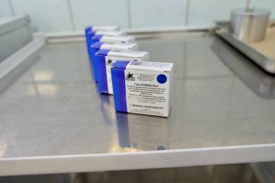 Власти Германии готовы начать закупку российской вакцины «Спутник V» - news-front.info - Россия - Евросоюз