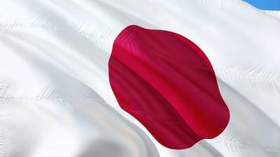 Первый случай смерти в карантинном стационаре зафиксировали в Японии - newinform.com - Египет - Токио
