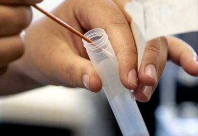 Вирус простуды может вытеснять из организма коронавирус – исследование - facenews.ua