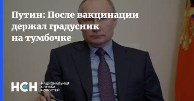 Владимир Путин - Путин: После вакцинации держал градусник на тумбочке - nsn.fm - Россия