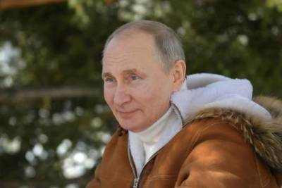 Владимир Путин - Путин рассказал о своем падении с лошади - 24smi.org - Россия