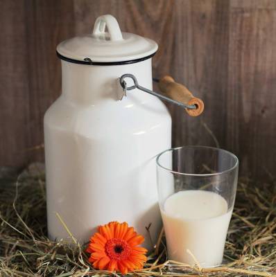 Нутрициолог Кристина Журавлёва опровергла миф о полезных свойствах пастеризованного молока - actualnews.org
