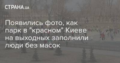 Появились фото, как парк в "красном" Киеве на выходных заполнили люди без масок - strana.ua - Киев