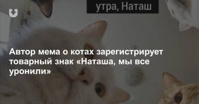 Автор мема о котах зарегистрирует товарный знак «Наташа, мы все уронили» - news.tut.by - Россия