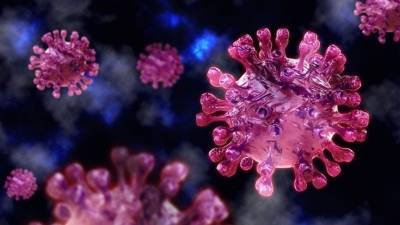 Elisabeth Pharmacon - В Чехии выявили новый штамм коронавируса - 5-tv.ru - Чехия - Брно