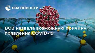 Питер Бен Эмбарек - ВОЗ назвала возможную причину появления COVID-19 - ria.ru - Москва - Китай - Ухань