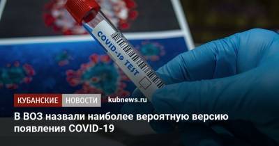 В ВОЗ назвали наиболее вероятную версию появления COVID-19 - kubnews.ru - Китай