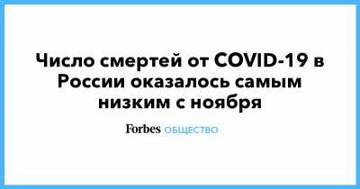 Число смертей от COVID-19 в России оказалось самым низким с ноября - forbes.ru - Россия