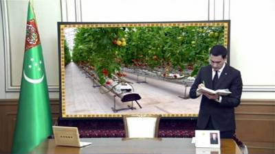 Россельхознадзор грозит Туркменистану запретом на поставки томатов из-за паразитов - hronikatm.com - Россия - Туркмения