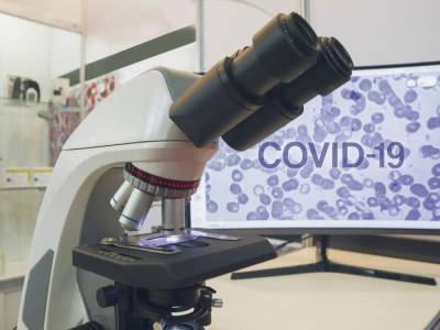 Отчет ВОЗ: Наиболее вероятный источник возникновения COVID-19 – животные, а не лаборатория – AP - gordonua.com - Китай - Ухань - Женева