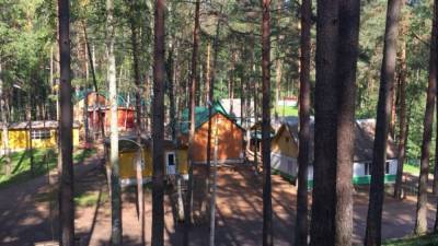 Анна Попова - Роспотребнадзор разрешил отправлять детей на отдых в лагеря за пределы региона проживания - politros.com