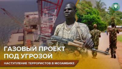 Отрицание неизбежного: как Мозамбик проиграл террористам битву за газовый регион - riafan.ru - Франция - Мозамбик - Пальма