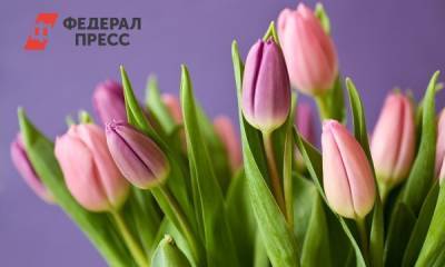 В России цены на цветы к 8 Марта могут взлететь на 30 % - fedpress.ru - Россия - Москва