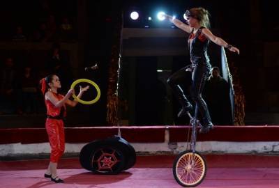 Рязанский цирк возобновляет представления - interfax-russia.ru - Рязань