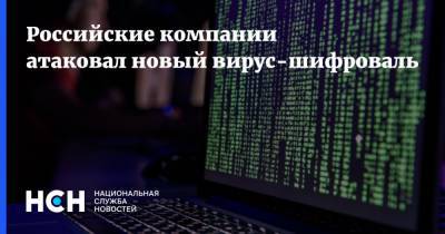 Российские компании атаковал новый вирус-шифровальщик - nsn.fm