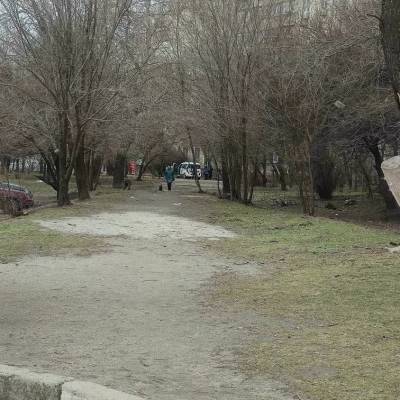 Вчера в Запорожье произошло двойное самоубийство - inform.zp.ua - Украина - Запорожье