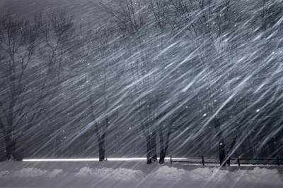 Погода в Ленобласти: снегопад и усиление ветра ожидаются с 4 по 6 марта - ivbg.ru - Ленобласть обл. - Украина