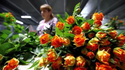 Эксперты заявили о росте цен на цветы в России - russian.rt.com - Россия - Москва