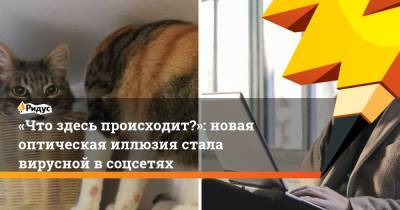 «Что здесь происходит?»: новая оптическая иллюзия стала вирусной в соцсетях - ridus.ru
