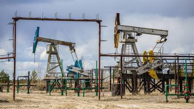 Александр Новак - Новак назвал ситуацию на рынке нефти оптимистичной - iz.ru - Россия - Израиль