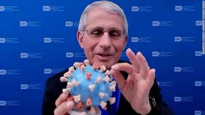 3D-модель коронавируса COVID-19 передали в музей американской истории - bykvu.com - Украина