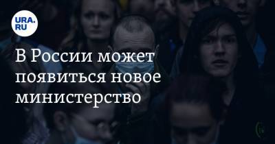 Владимир Андреев - В России может появиться новое министерство - ura.news - Россия