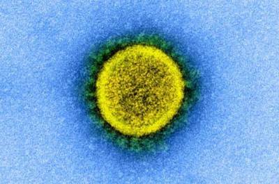 Ученые рассказали о последствиях от коронавируса для мозга - enovosty.com