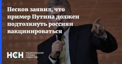 Владимир Путин - Дмитрий Песков - Песков заявил, что пример Путина должен подтолкнуть россиян вакцинироваться - nsn.fm - Россия