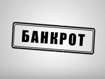 Названо число россиян, обанкротившихся без суда - rosbalt.ru - Россия