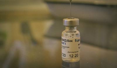 Власти Австрии решили купить миллион доз вакцины "Спутник V" - newizv.ru - Австрия