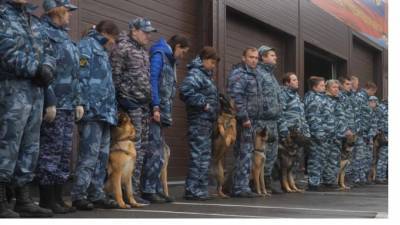 В Петербурге военных собак привьют от коронавируса перед Парадом Победы - piter.tv - Санкт-Петербург