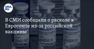 В СМИ сообщили о расколе в Евросоюзе из-за российской вакцины - ura.news - Москва - Франция - Евросоюз