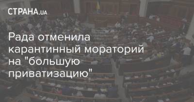 Рада отменила карантинный мораторий на "большую приватизацию" - strana.ua