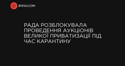Рада розблокувала проведення аукціонів великої приватизації під час карантину - bykvu.com - Украина