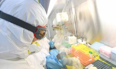 США и еще 13 стран раскритиковали доклад ВОЗ о причинах происхождения коронавируса - og.ru - Китай - Ухань