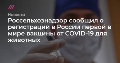 Россельхознадзор сообщил о регистрации в России первой в мире вакцины от COVID-19 для животных - tvrain.ru - Россия