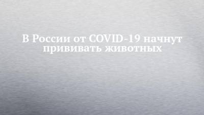 Константин Савенков - В России от COVID-19 начнут прививать животных - chelny-izvest.ru - Россия